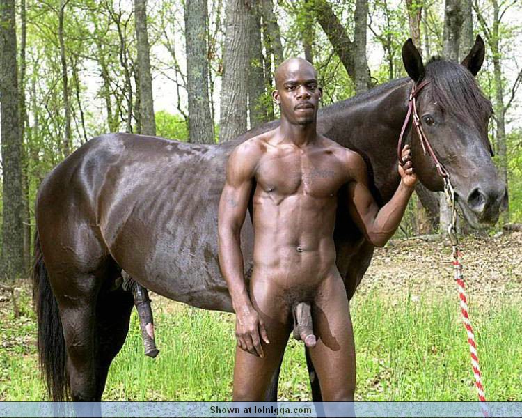 Gay Horse Porn 144566 Horse Cockjpg Horse Cockjpg